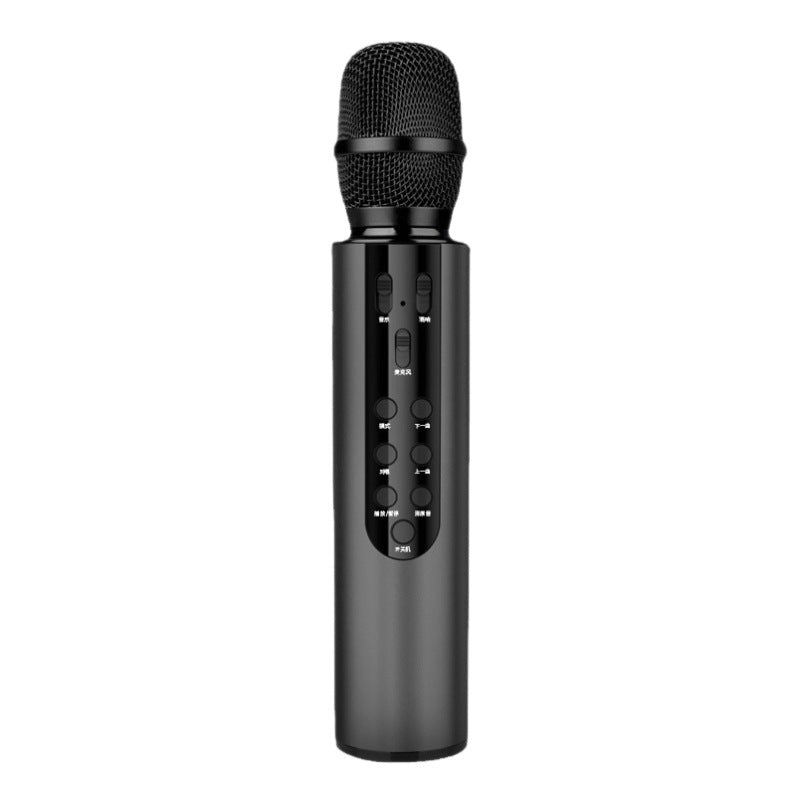 Wireless Karaoke Microphone with Echo Control Kalsten