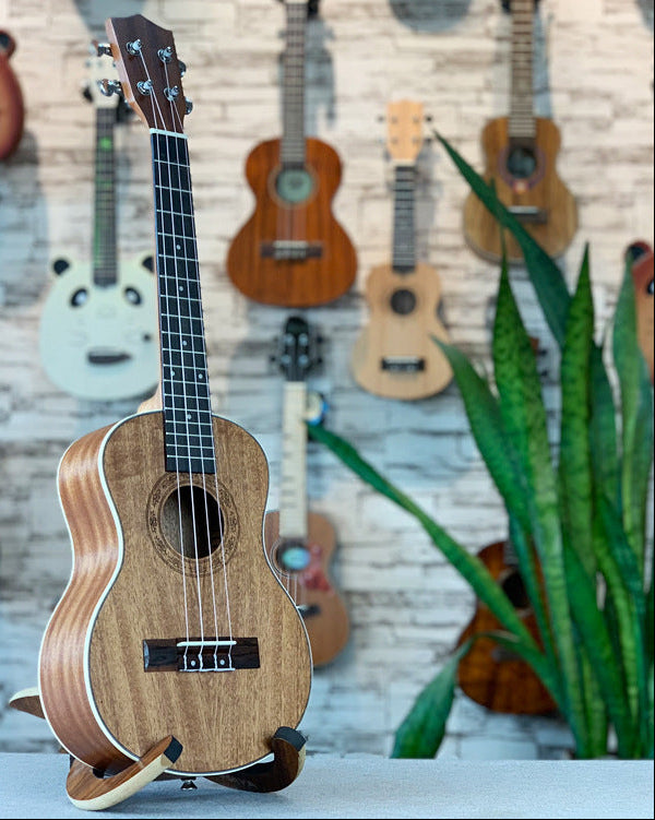 Premium Acoustic Ukulele Kalsten