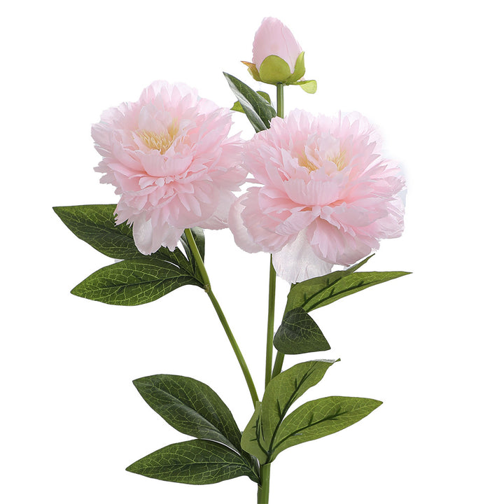 Realistic Art Peony