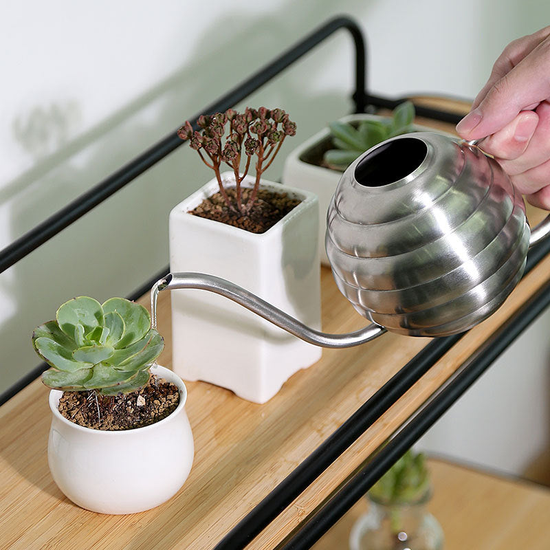 Artisanal Stainless Steel Watering Can