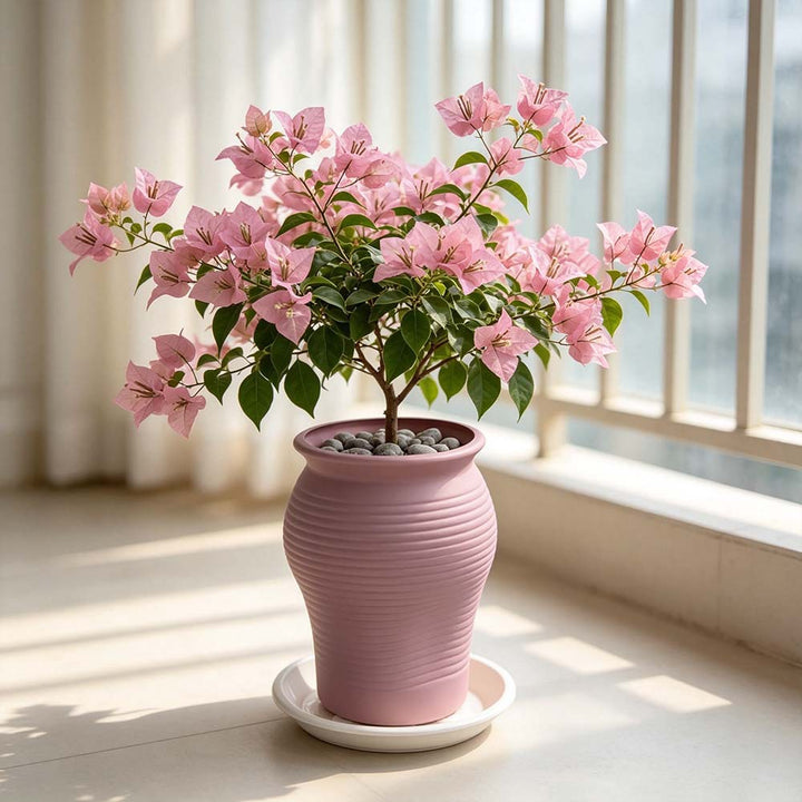Decorative Textured Planter Vase Kalsten