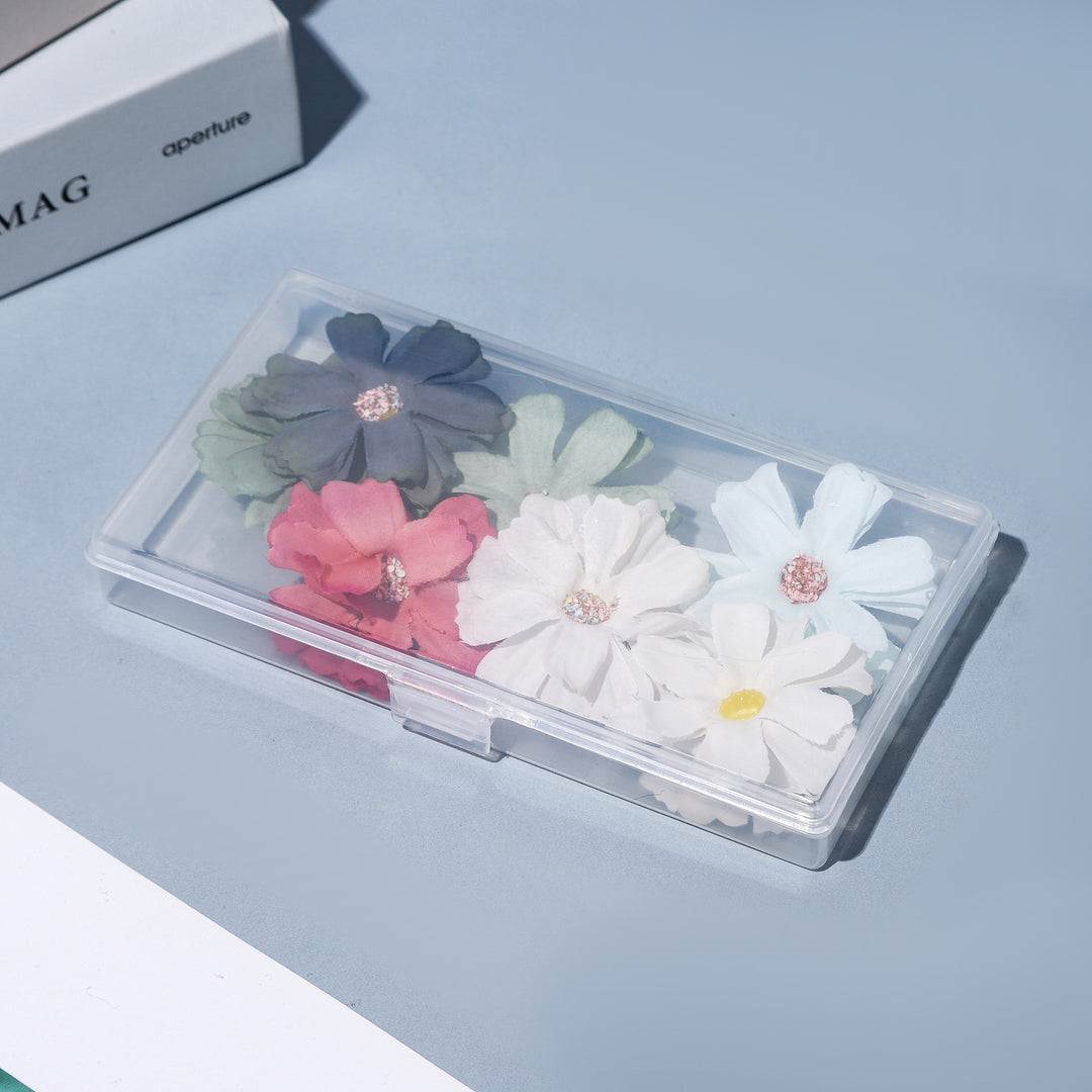 Slim Transparent Storage Case Kalsten