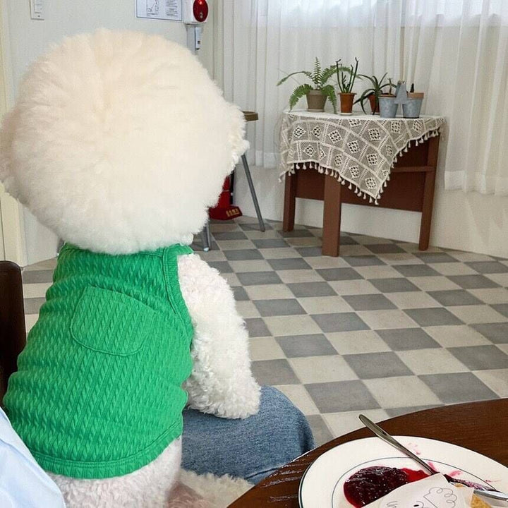 Ribbed Stretch Knit Dog Belly Vest