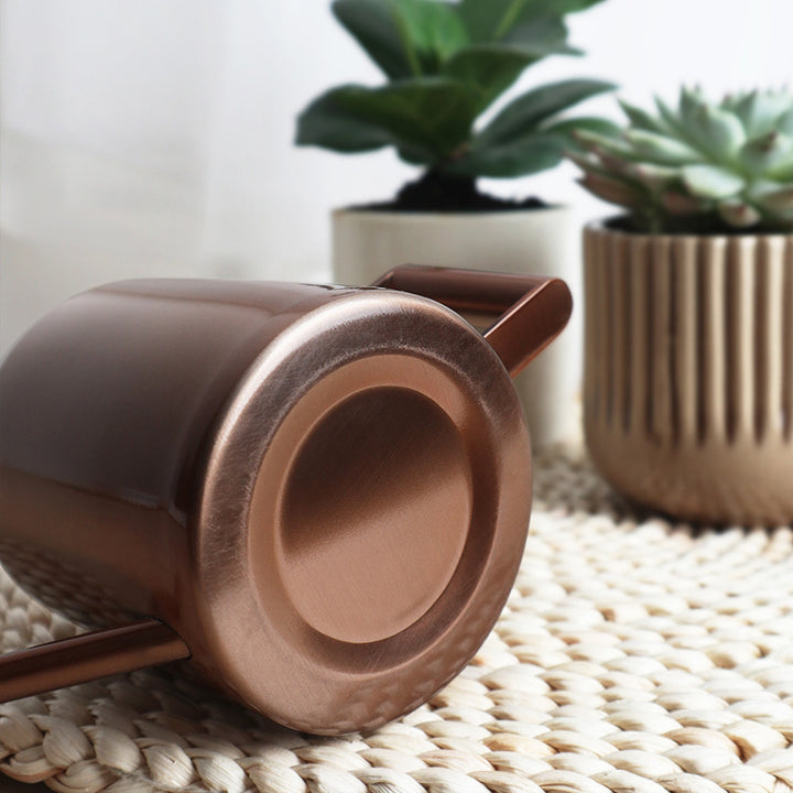 Modern Stainless Steel Watering Can