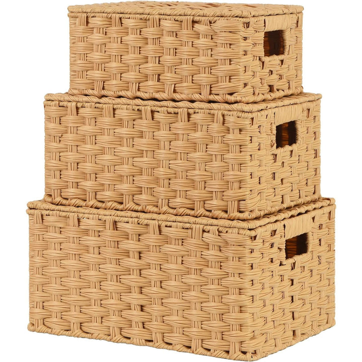 Handwoven Storage Baskets Set Kalsten