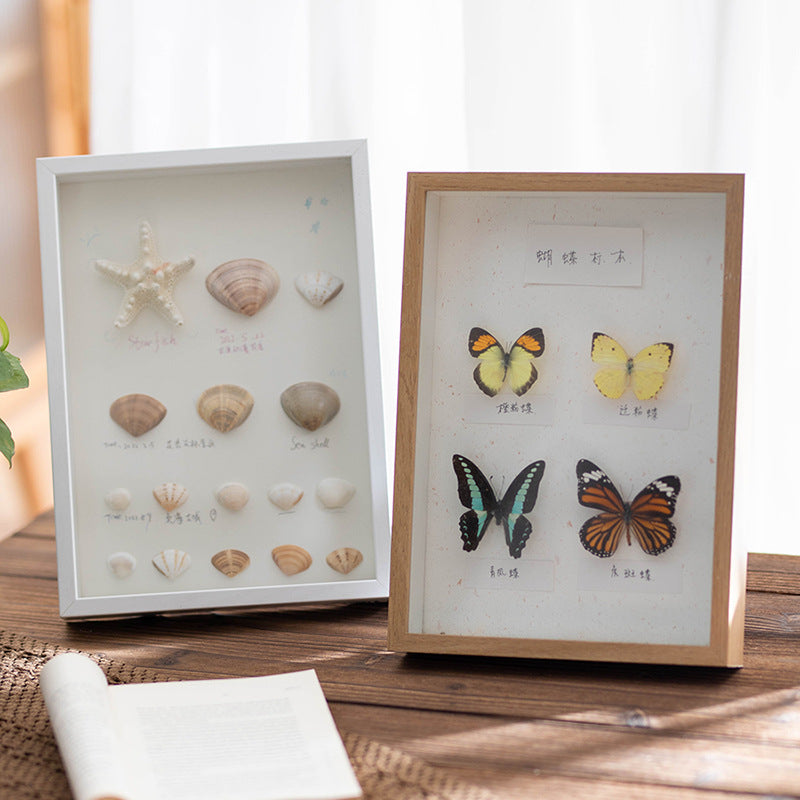 Decorative Framed Butterfly Art for Home