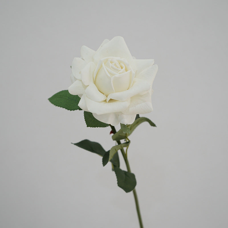 Lifelike Garden Rose Stem