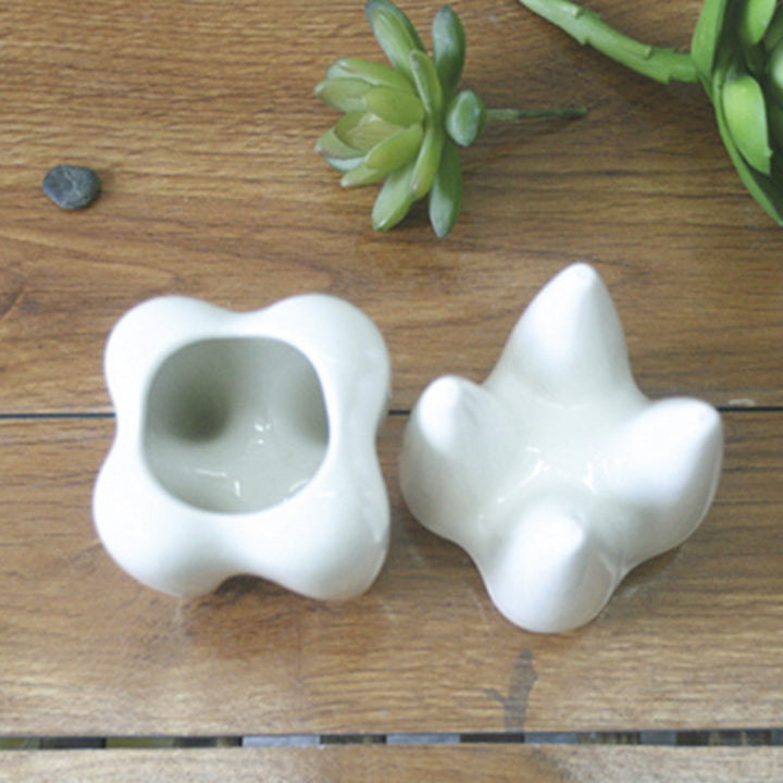 Creative Tooth-Shaped Planter Kalsten