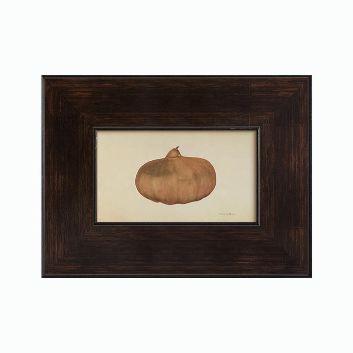 Framed Pumpkin Botanical Art Print