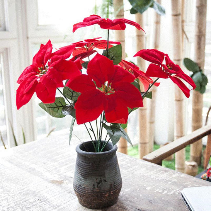 Decorative Poinsettia Plant Arrangement Kalsten