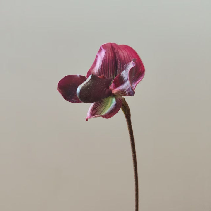 Realistic Orchid Stem Vase Decoration