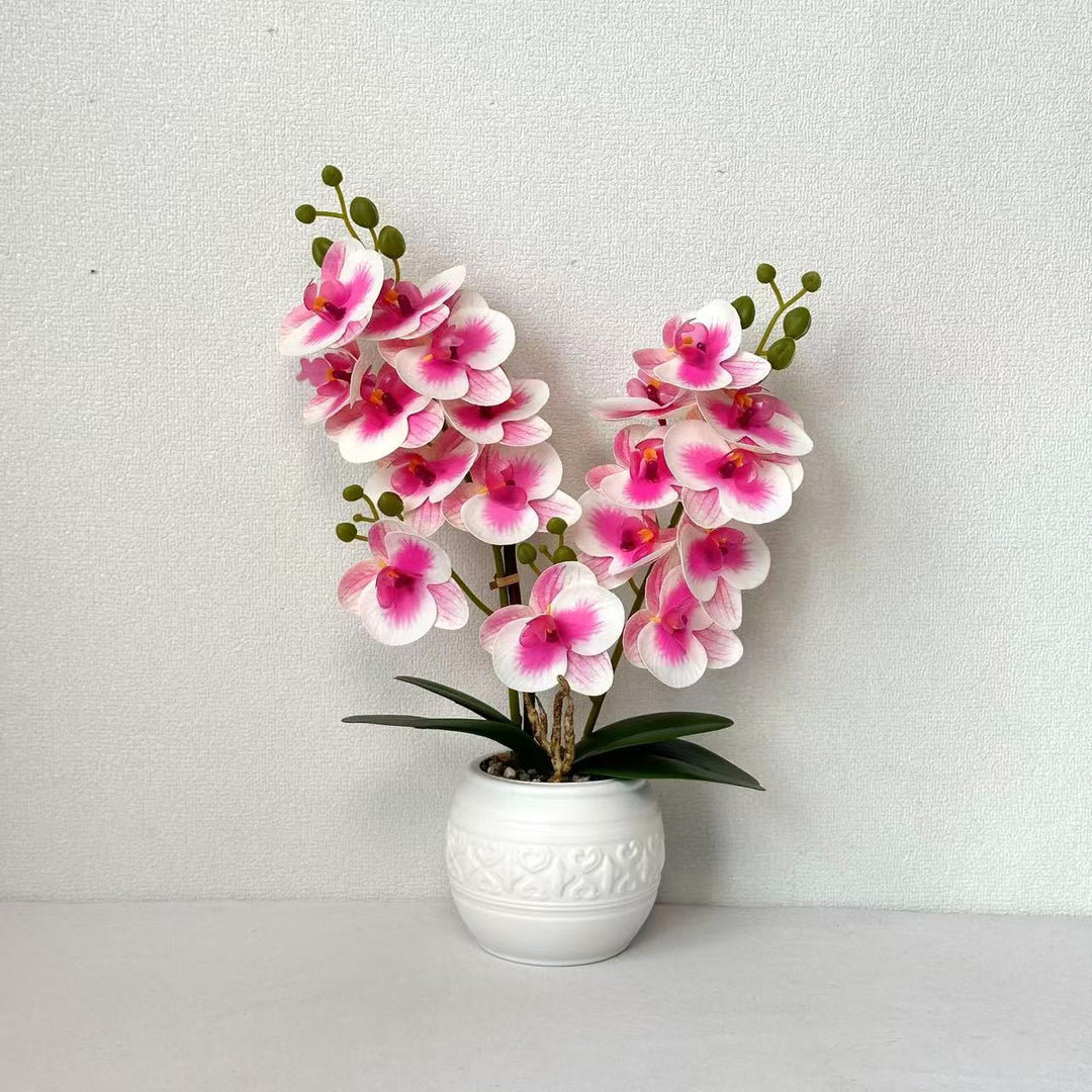 Decorative Orchid for Tabletop Home Decor