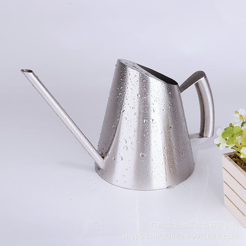 Stylish Stainless Steel Watering Can