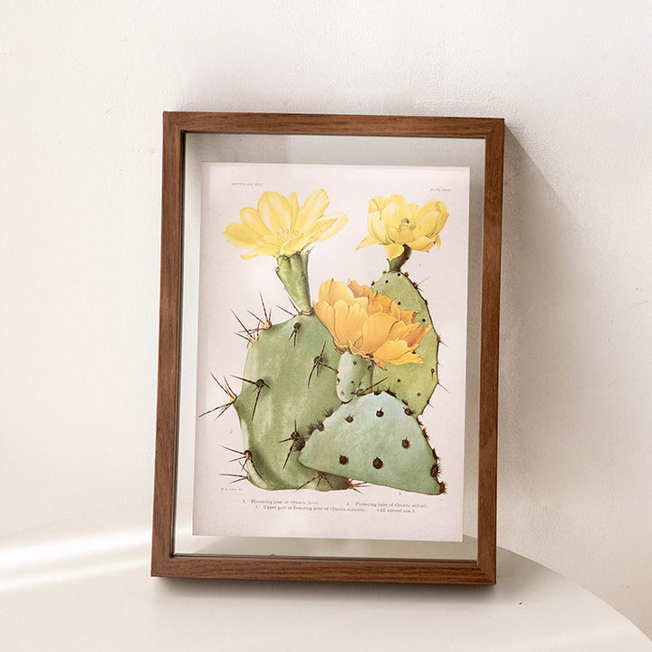 Botanical Illustration Wall Frame