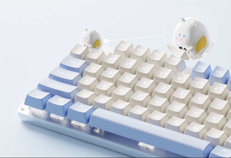Keyboard Accessory Kalsten