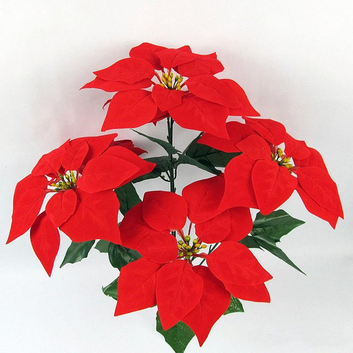 Decorative Poinsettia Plant Arrangement Kalsten