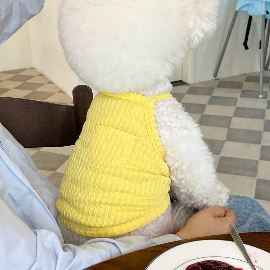 Ribbed Stretch Knit Dog Belly Vest