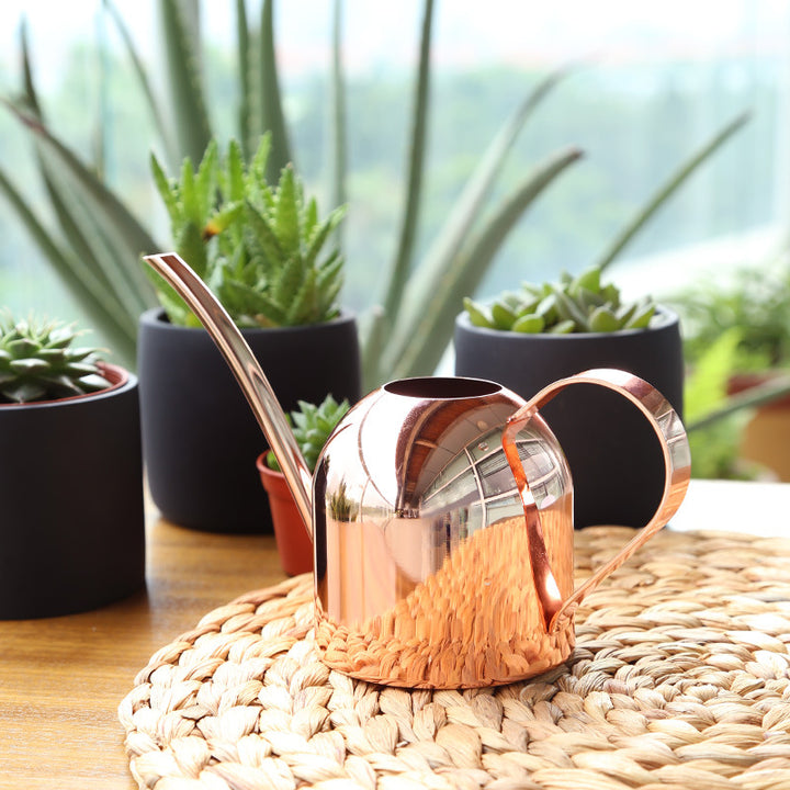 Premium Copper Watering Can
