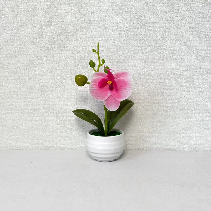 Lifelike Orchid Flower Pot Decoration