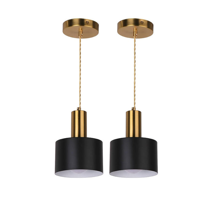 Pendant Ceiling Light Fixture