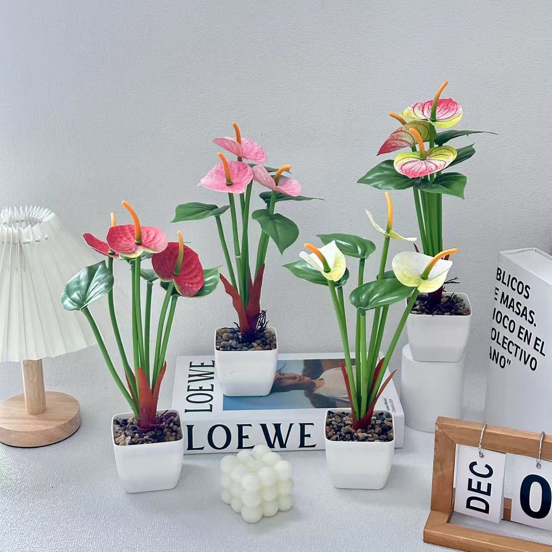 Realistic Anthurium Plant Arrangement