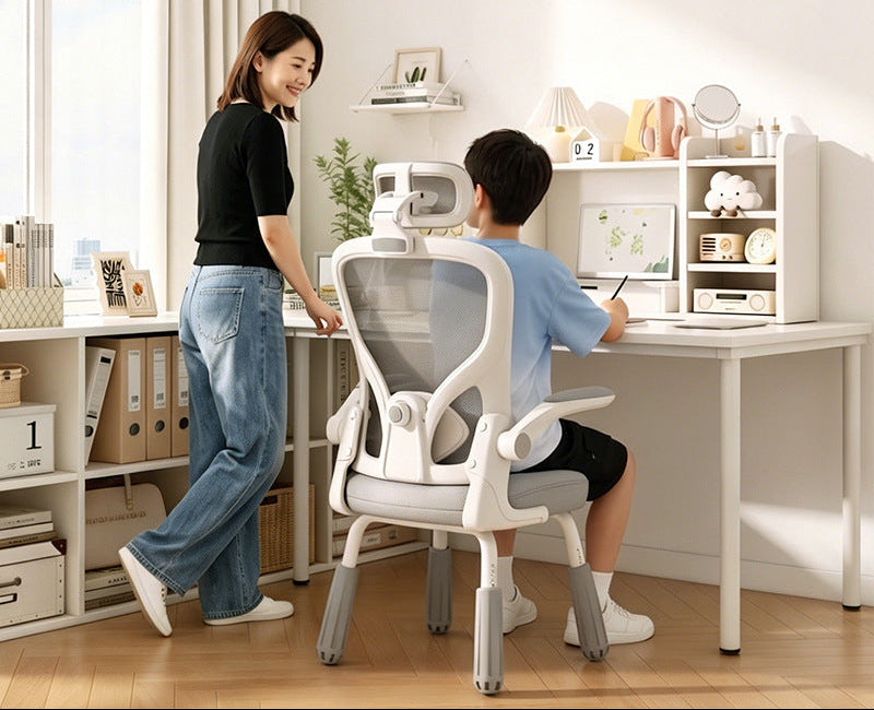 Ergonomic Study Chair Kalsten