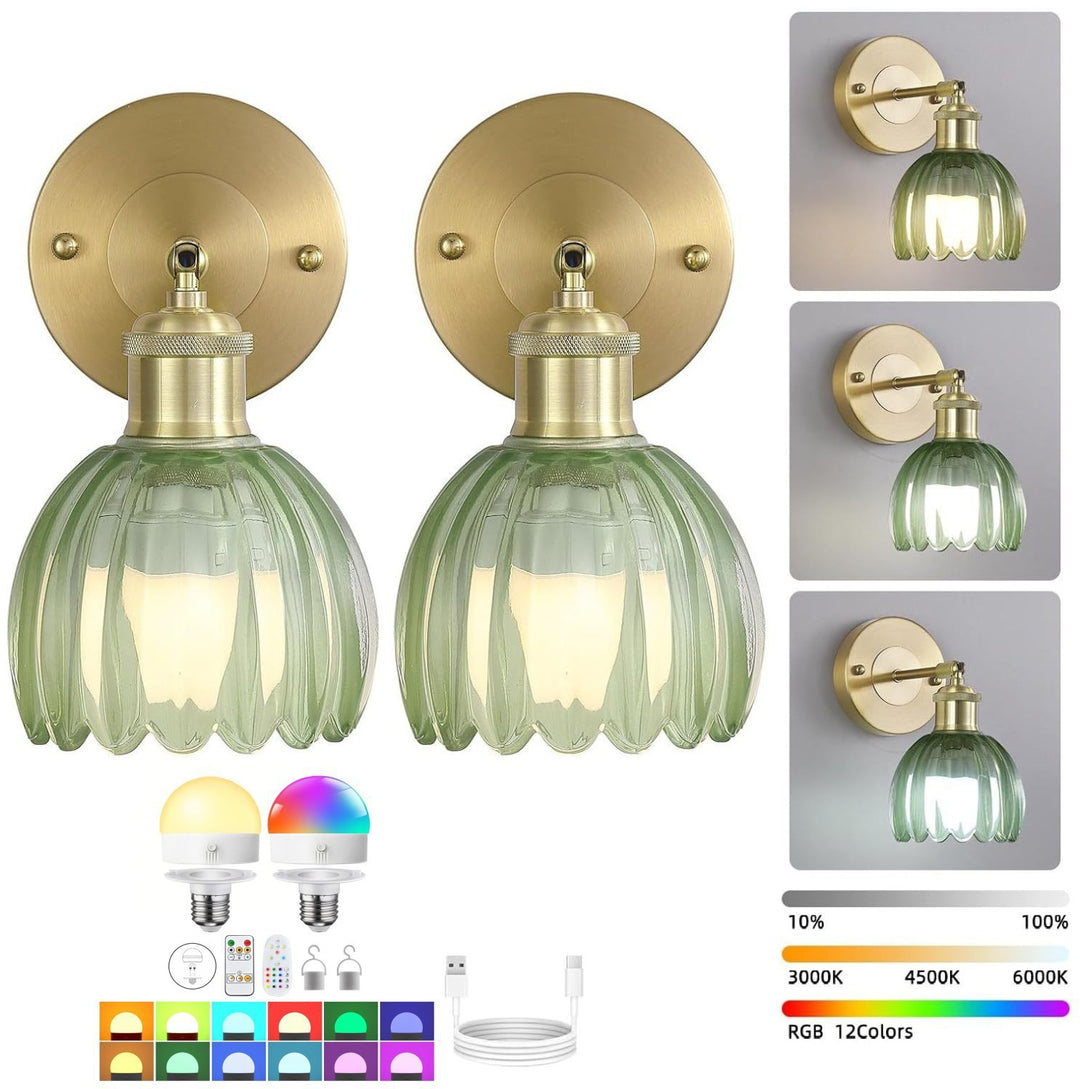 Elegant Glass Wall Sconce
