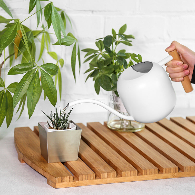 Stylish Ergonomic Watering Can