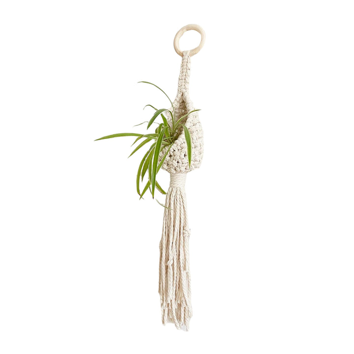 Bohemian Plant Holder Kalsten