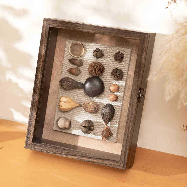 Decorative Shadow Box Frame with Natural Elements