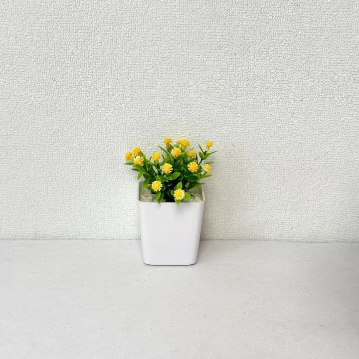Decorative Mini Potted Plant Arrangement