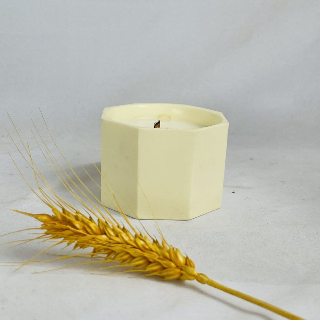 Geometric Ceramic Planter Kalsten