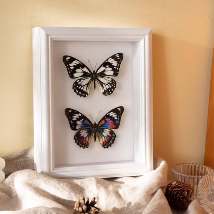 Decorative Butterfly Art Frame for Home Decor