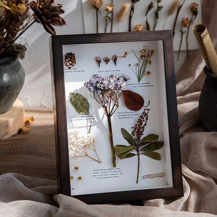 Botanical Shadow Box Frame