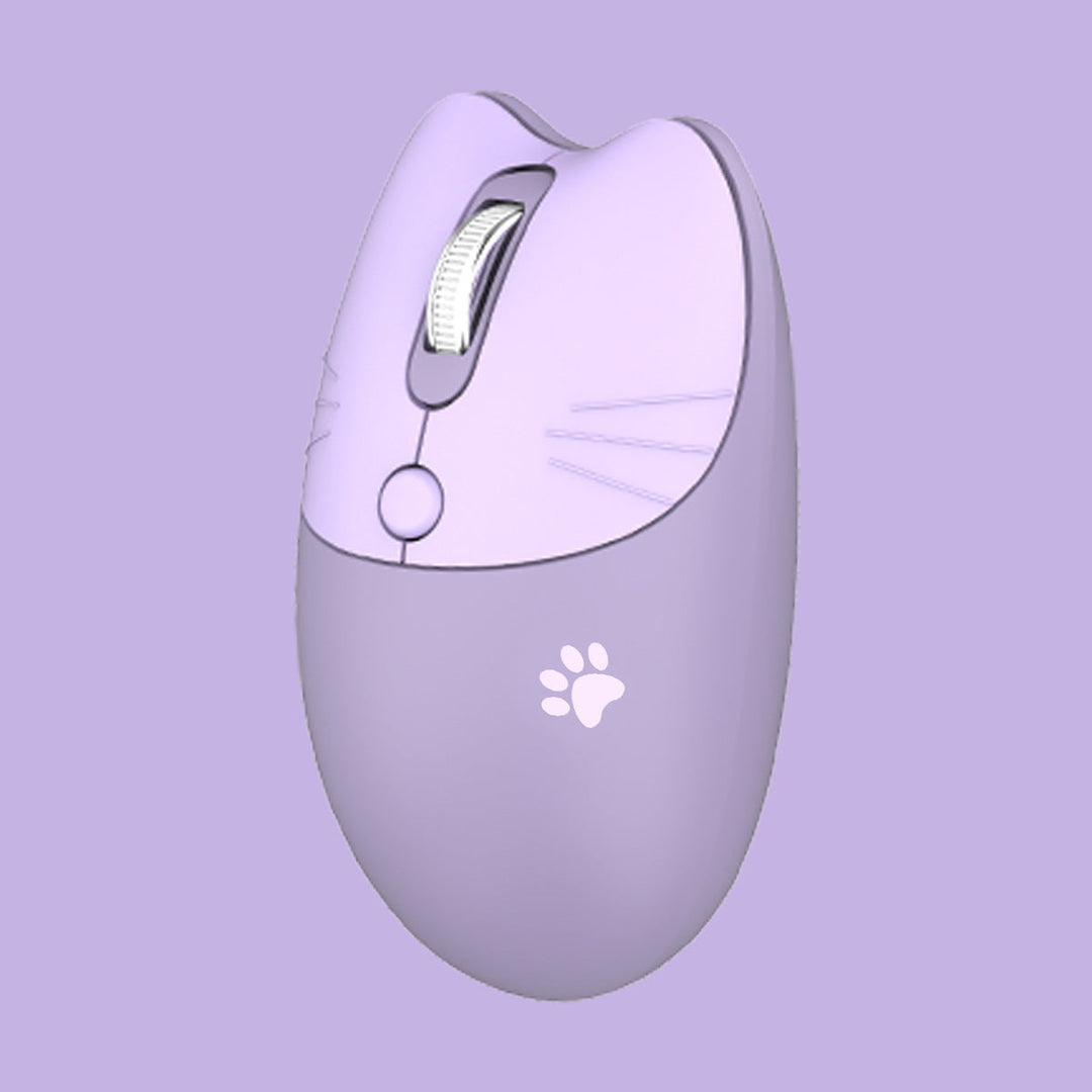 Wireless Ergonomic Computer Mouse Kalsten