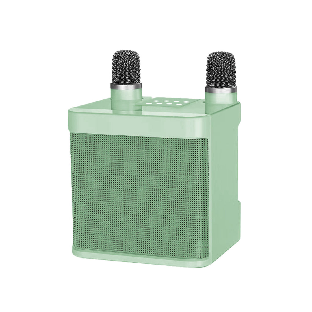 Portable Karaoke Sound System Kalsten