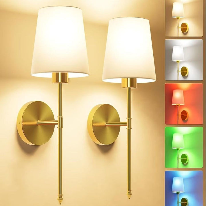 Elegant Adjustable Wall Sconce