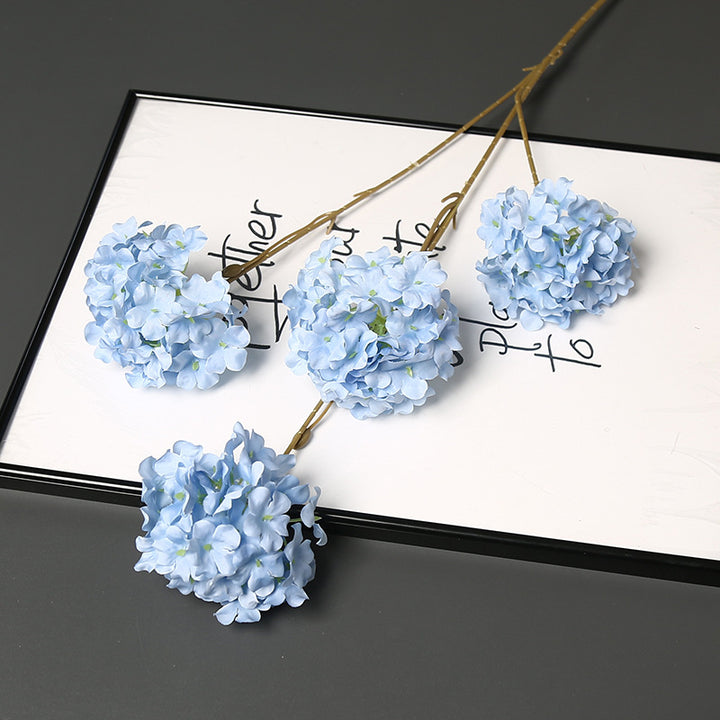 Decorative Dried Floral Stem for Home Decor