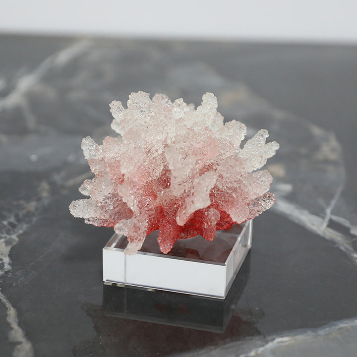 Decorative Coral