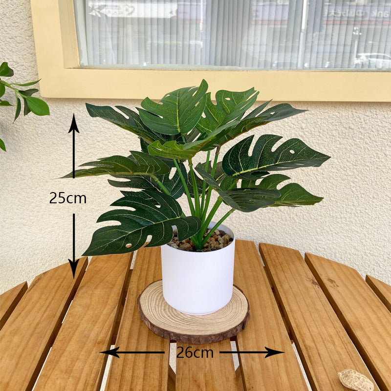 Lifelike Indoor Fern Plant