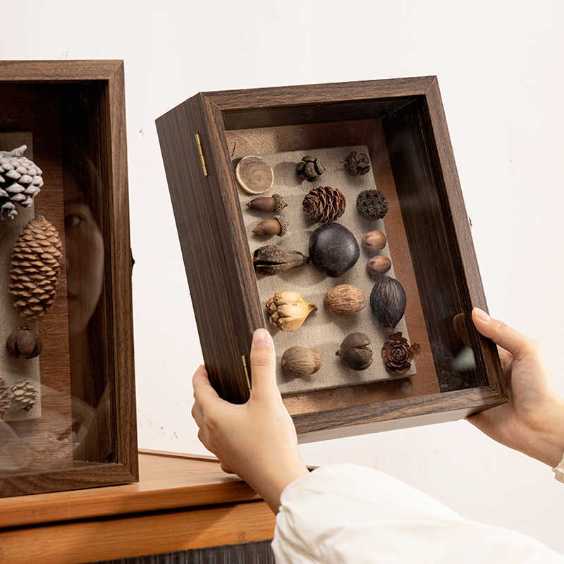 Decorative Shadow Box Frame with Natural Elements