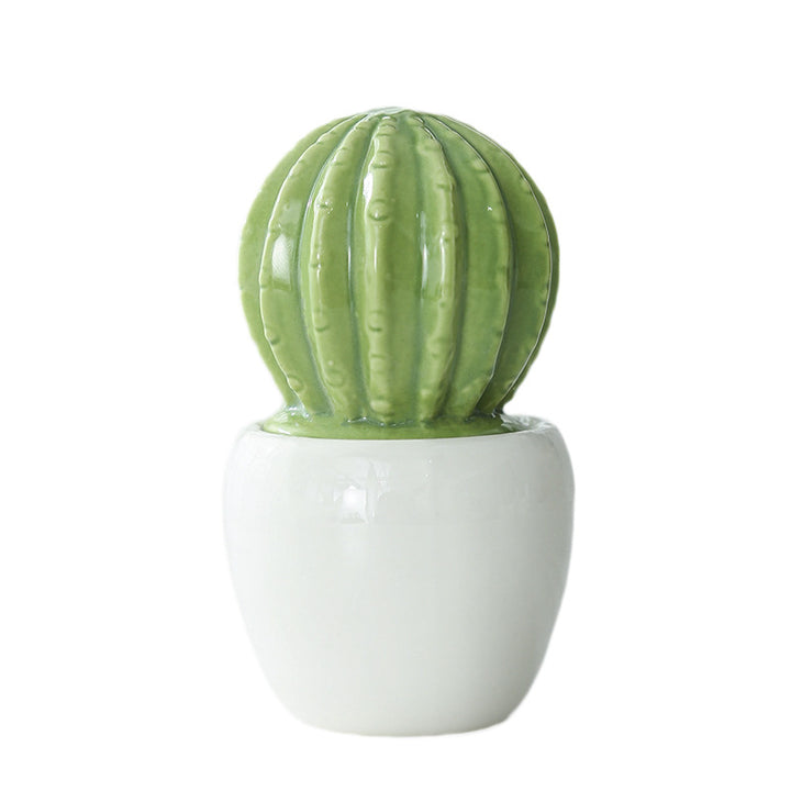 Decorative Ceramic Cactus Planter Kalsten