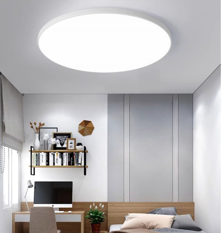 Modern Flush Mount Ceiling Light