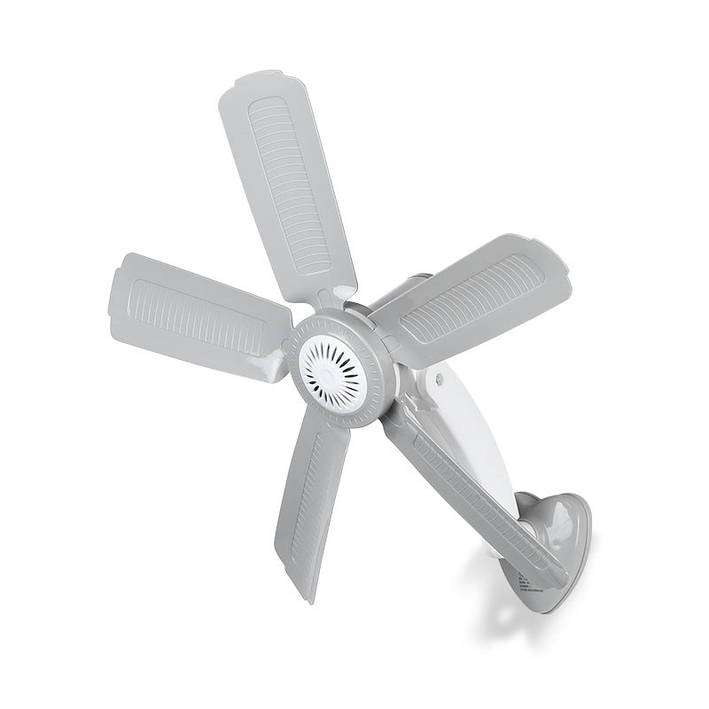 Women Wall Fan Kalsten