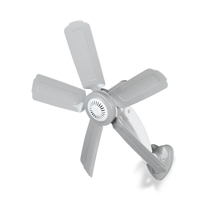 Women Wall Fan Kalsten