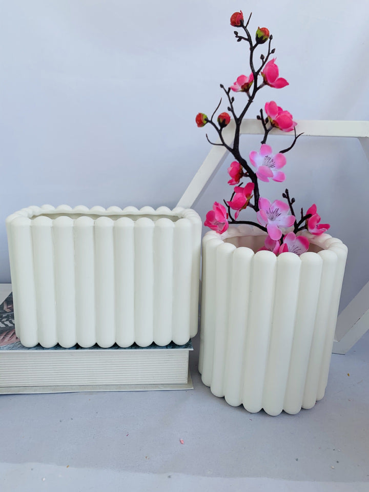 Decorative Plant Kalsten
