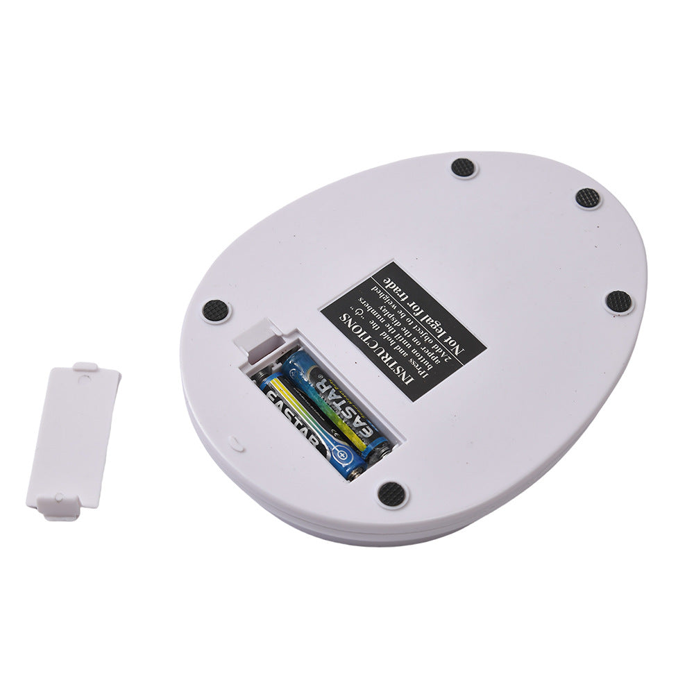 Digital Precision Weighing Scale