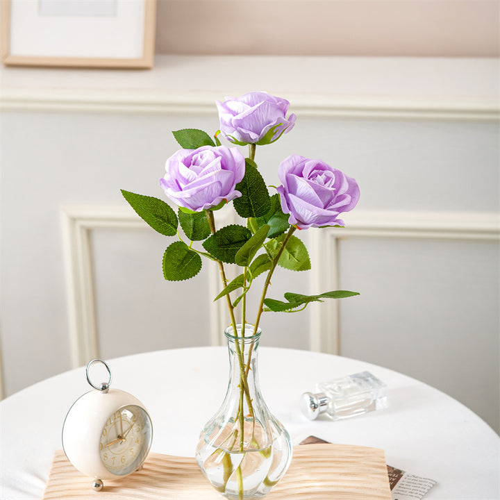 Realistic Elegant Rose Stem