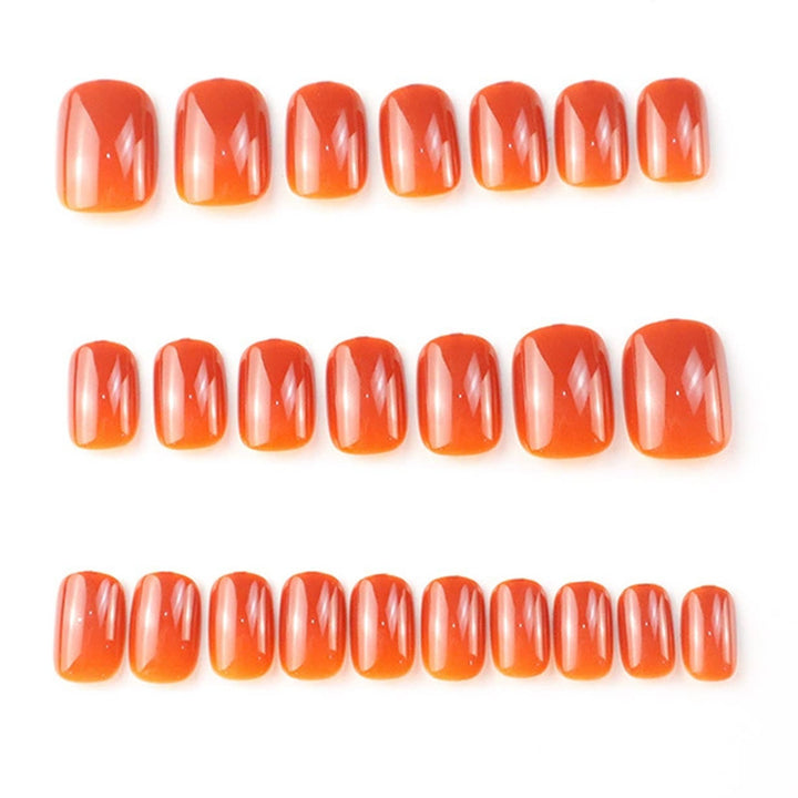 Glossy Press-On Nail Set Kalsten 1790727573