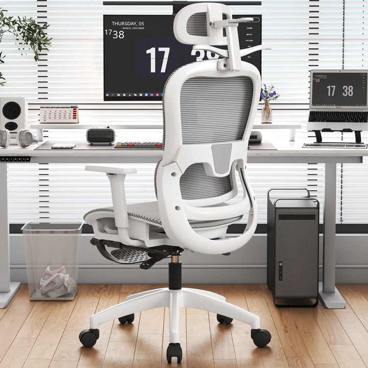 Office Ergonomic Task Chair Kalsten